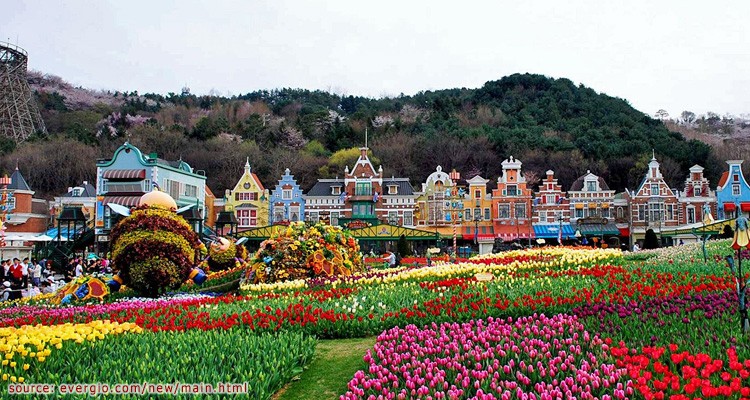 ผลการค้นหารูปภาพสำหรับ สวนสนุกเอเวอร์แลนด์ เกาหลีบรรยากาศที่สวนสนุกเอเวอร์แลนด์ ในฤดูใบไม้ร่วง-ใบไม้เปลี่ยนสีสวยงาม